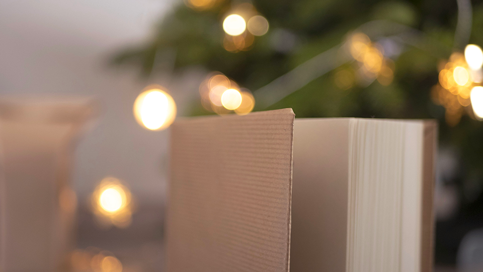 5 idées de cadeaux lecture pour Noël