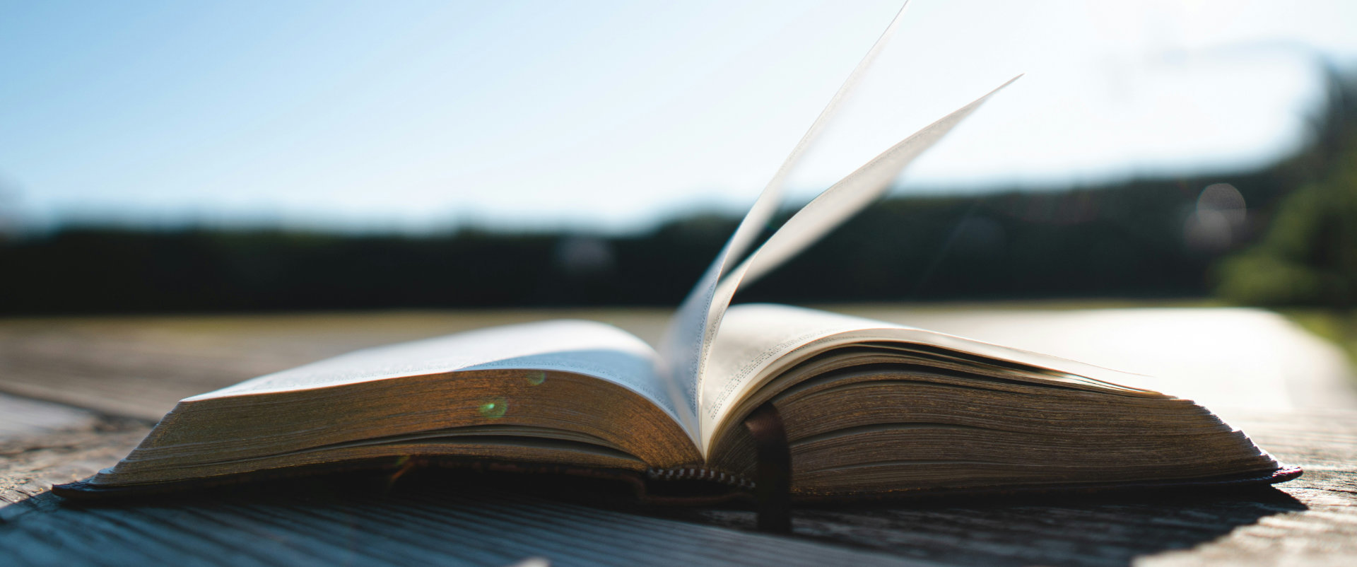 Le nature writing : Quand la littérature nous reconnecte au sauvage