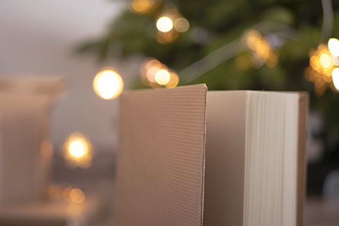 5 idées de cadeaux lecture pour Noël