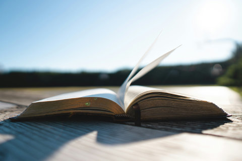 Le nature writing : Quand la littérature nous reconnecte au sauvage